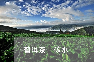 普洱茶 碳水/2023042848446